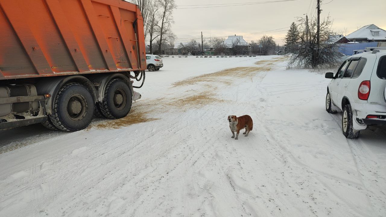 Безопасность ровенчан в зимний период Безопасность ровенчан в зимний период