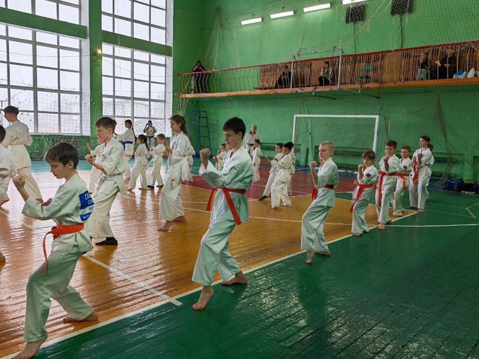 Итоговая тренировка киокушин Итоговая тренировка киокушин