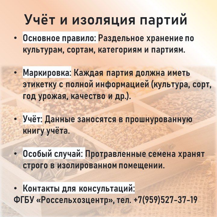 Хранение семян: краткий гид от Россельхозцентра Хранение семян: краткий гид от Россельхозцентра