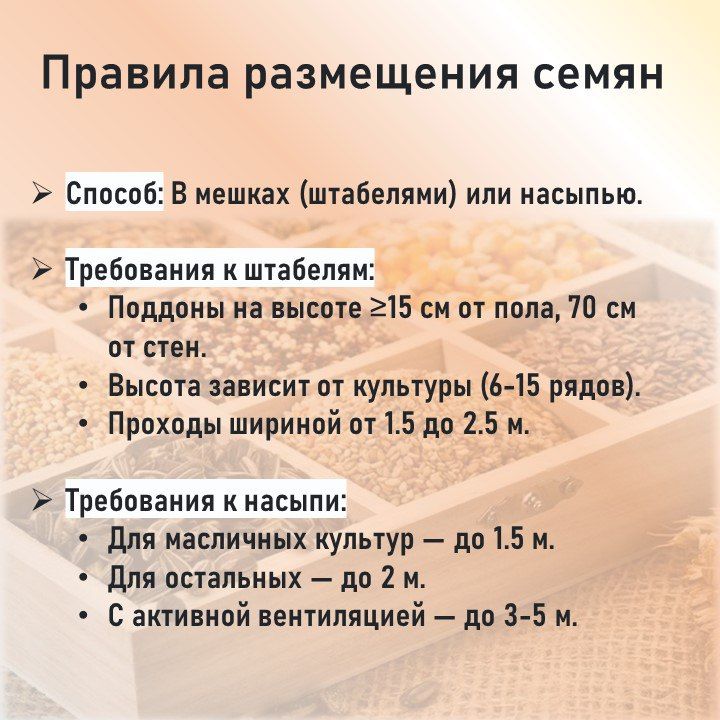 Хранение семян: краткий гид от Россельхозцентра Хранение семян: краткий гид от Россельхозцентра