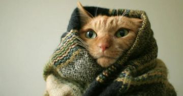 ����������� ����� � ������� ����������� ����� ���������� �� -20 ��������