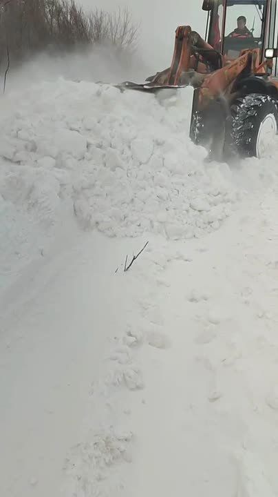 ������� �����: ��� �������� ������� �������� � ��� ������� � ���� ��������� � � ������ �� ������������� � �������������� �����������