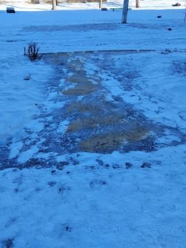 ���������� ��� ������ ������� ������� ���������� �� �����