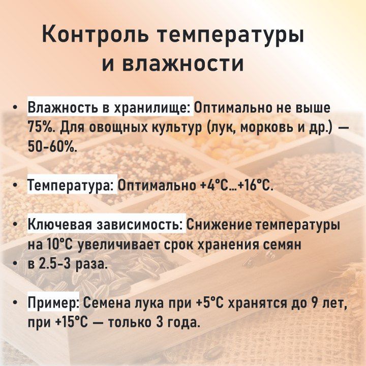 Хранение семян: краткий гид от Россельхозцентра Хранение семян: краткий гид от Россельхозцентра