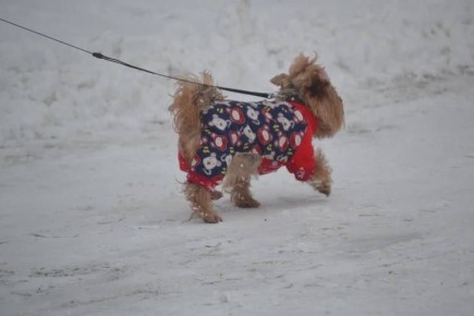 ������� ������ � ���������� ��������� � ���