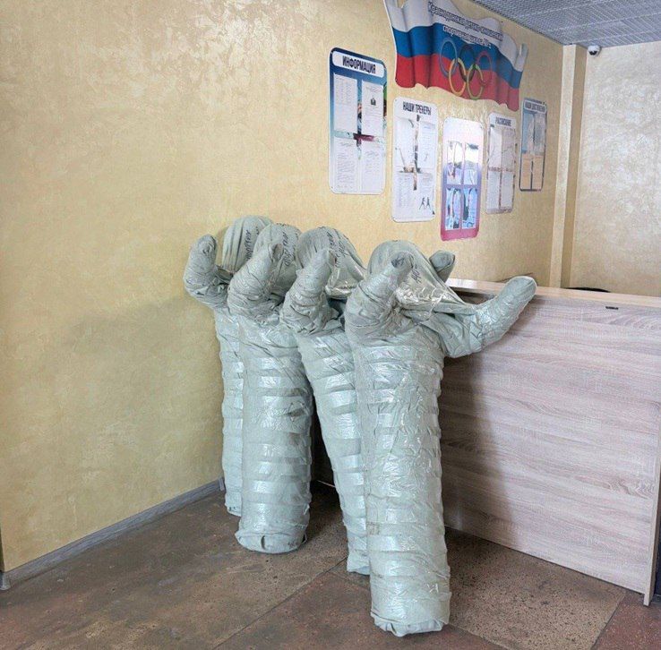 «Инвестиции в спорт: Краснодонская спортивная школа №1 получила современный спортивный инвентарь» «Инвестиции в спорт: Краснодонская спортивная школа №1 получила современный спортивный инвентарь»