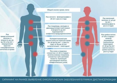 Скрининговые программы повышают выявляемость рака на 50%