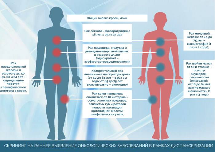 Скрининговые программы повышают выявляемость рака на 50%