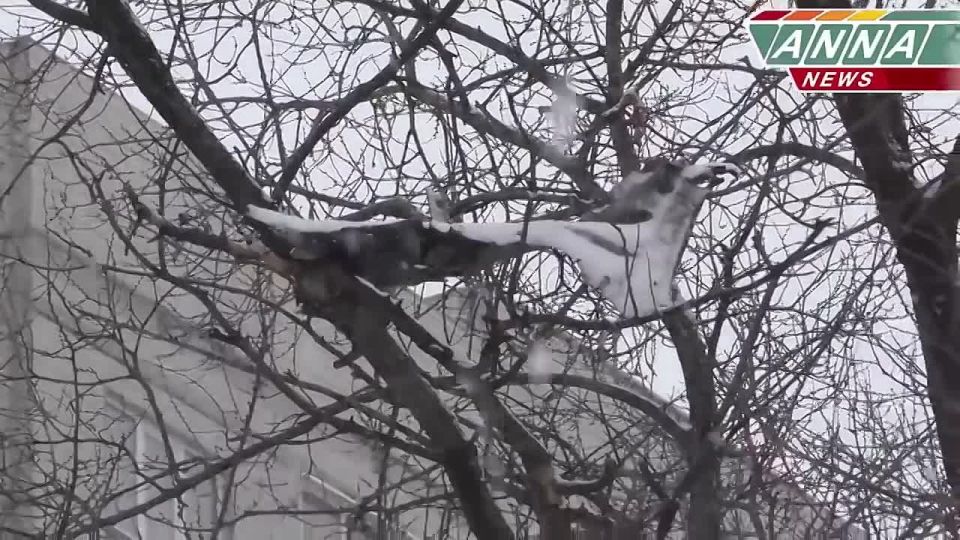 ������ �������: #����. 4 ������� 2017 ����, � ������ �������� ����������� ������������ ��� �������� ���������������� ���, � ���������� �������� ����� ��������� ���������� �������� ������� ��������� �������� ����������...