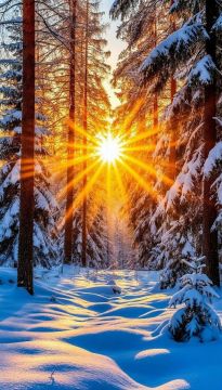 ������ ����, ������� ������ ������ ������!