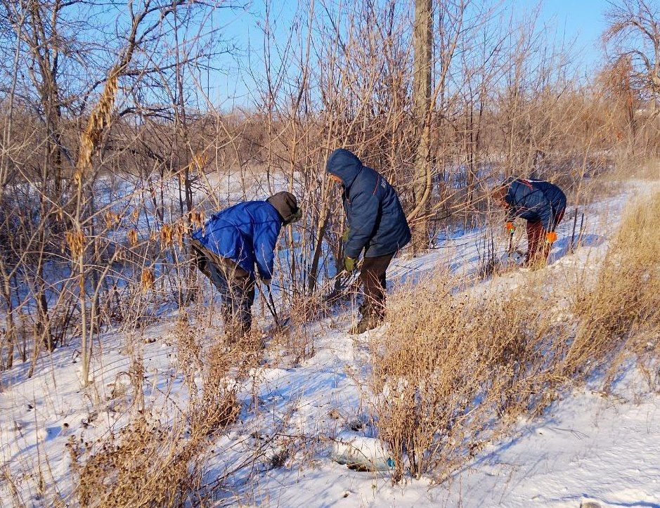 ������������� �������� ��������� ������ �� ���������� ������