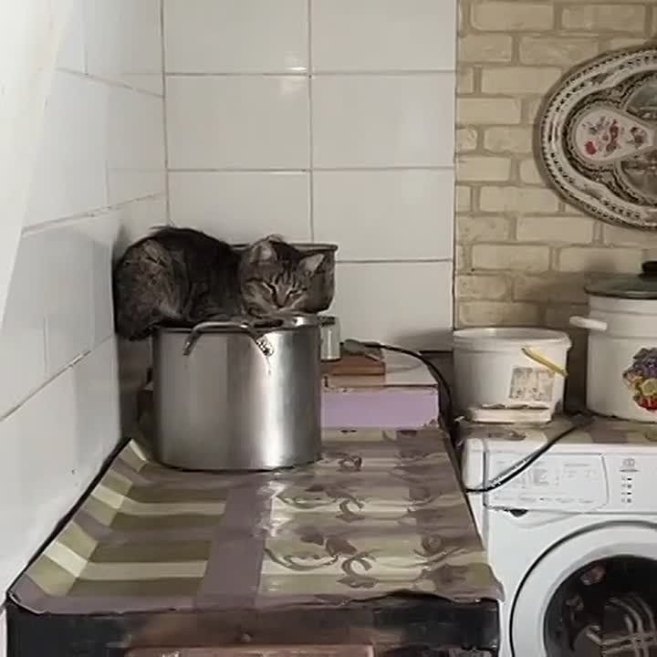 ����� � ��� ���������� ���������� ������ ���������� ������� � �������� � ������ � �� ��� ����, � ��� ��������� �������� ��������