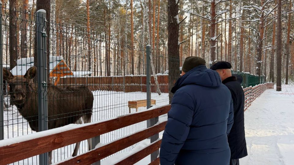 ������ �������: ����� ������ �������� ���� ��������� ������� � ������ ���������� ���������� �������