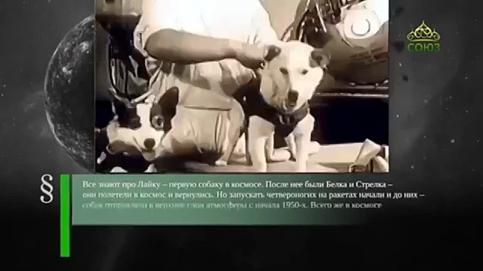 5 ������� - ���� ���� � �������!