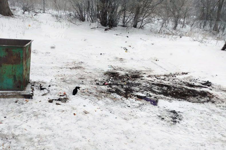 Работники МУП «Жилфонд города Червонопартизанска» продолжают уборку веток Работники МУП «Жилфонд города Червонопартизанска» продолжают уборку веток