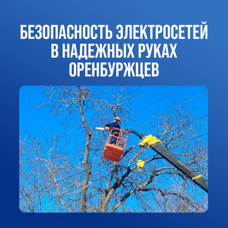 Оренбургские специалисты обрезают деревья в Перевальском округе