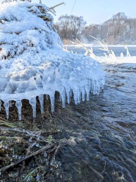 ������ ����! �������, 6 �������