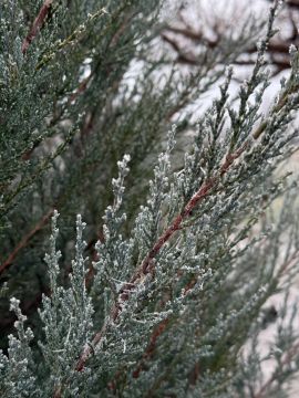 � ������ �����, ������ ����������� �������������� ������ !