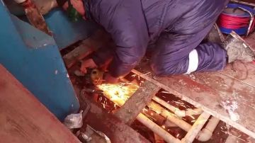 �������� �����������: �������� �� �������������� ��������, �� �������� ���������� ������������ ����� ���������� �������� � ��������� ������