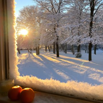 ������ ����!. ���������� �������, 14 �������, ���������� � ����� ���������� ������! ��� ������� �� �������: �����: +2�, ��������� ��� -3�