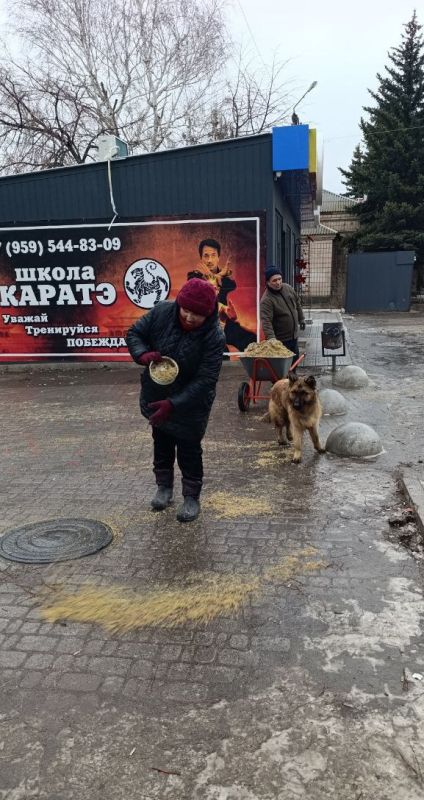 ������ ���������: ������������� � ����������: ����� �� ������� ������������ ���� ������������ �������