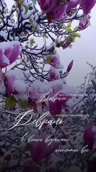 � ������ ���������� �����, ������ �������������� ������! ��������� ���� ��������� ���!