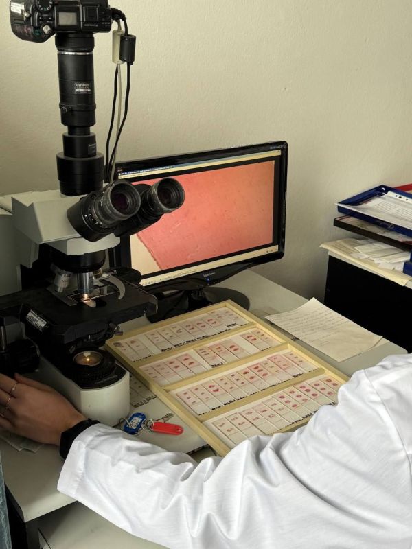 ������������������ ��������� ���������� ������������ �� ��� ���������� �����