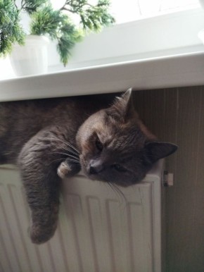 10 ������� �� ���������� ��������� �������� ���������� �������������� ���������� ����������