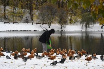 � ��� ��������� ����� 1600 ������������� ����, ���������� �� �������