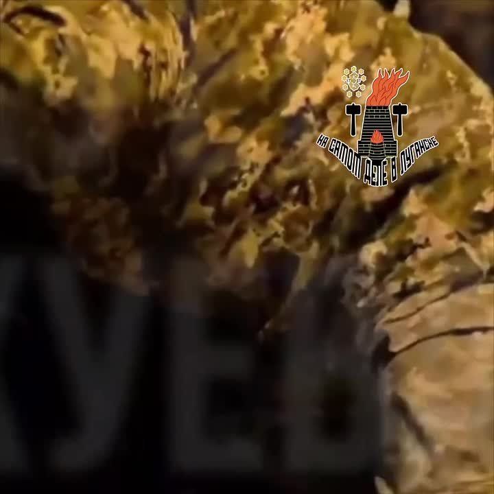 ��������, ���������! ������� ����� �������� ����������!