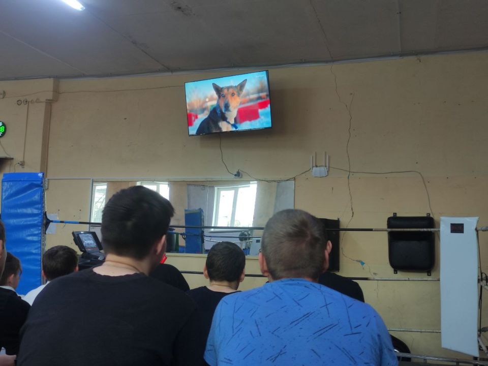 «Детский спорт»: В ЛНР продолжается фестиваль спортивного кино «Детский спорт»: В ЛНР продолжается фестиваль спортивного кино