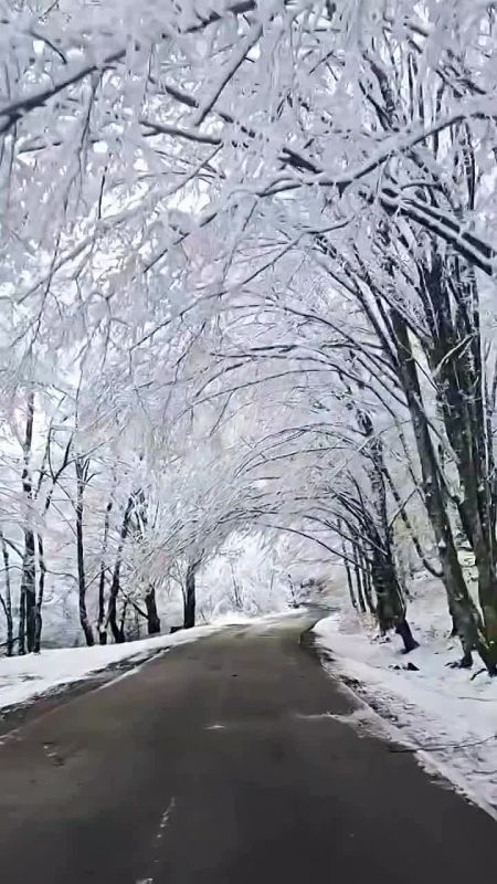 ������ ����! ������� ������� �� 12 ������� �������