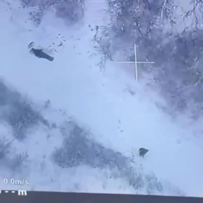 ��� ���� � ������� ���������� ������������� � ���������� � ������������� ������������ ���� ���������� �����������