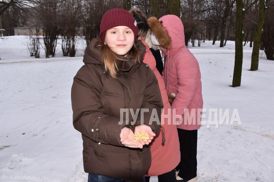 Первомайские гимназисты приняли участие в акции «Снежный холст» Первомайские гимназисты приняли участие в акции «Снежный холст»