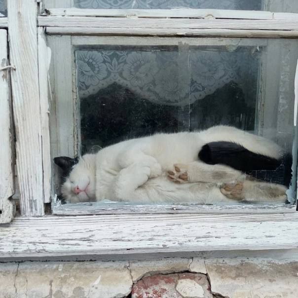 Доброе утро! Пятница, 13-е, удивит аномально тёплой и очень мягкой погодой, больше похожей на позднюю осень Доброе утро! Пятница, 13-е, удивит аномально тёплой и очень мягкой погодой, больше похожей на позднюю осень