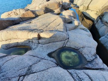 ������� "100 ������ � ������" ���� "������ �������"