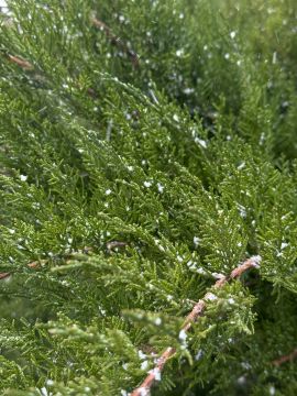 � ������ �����, ������ ����������� �������������� ������ !