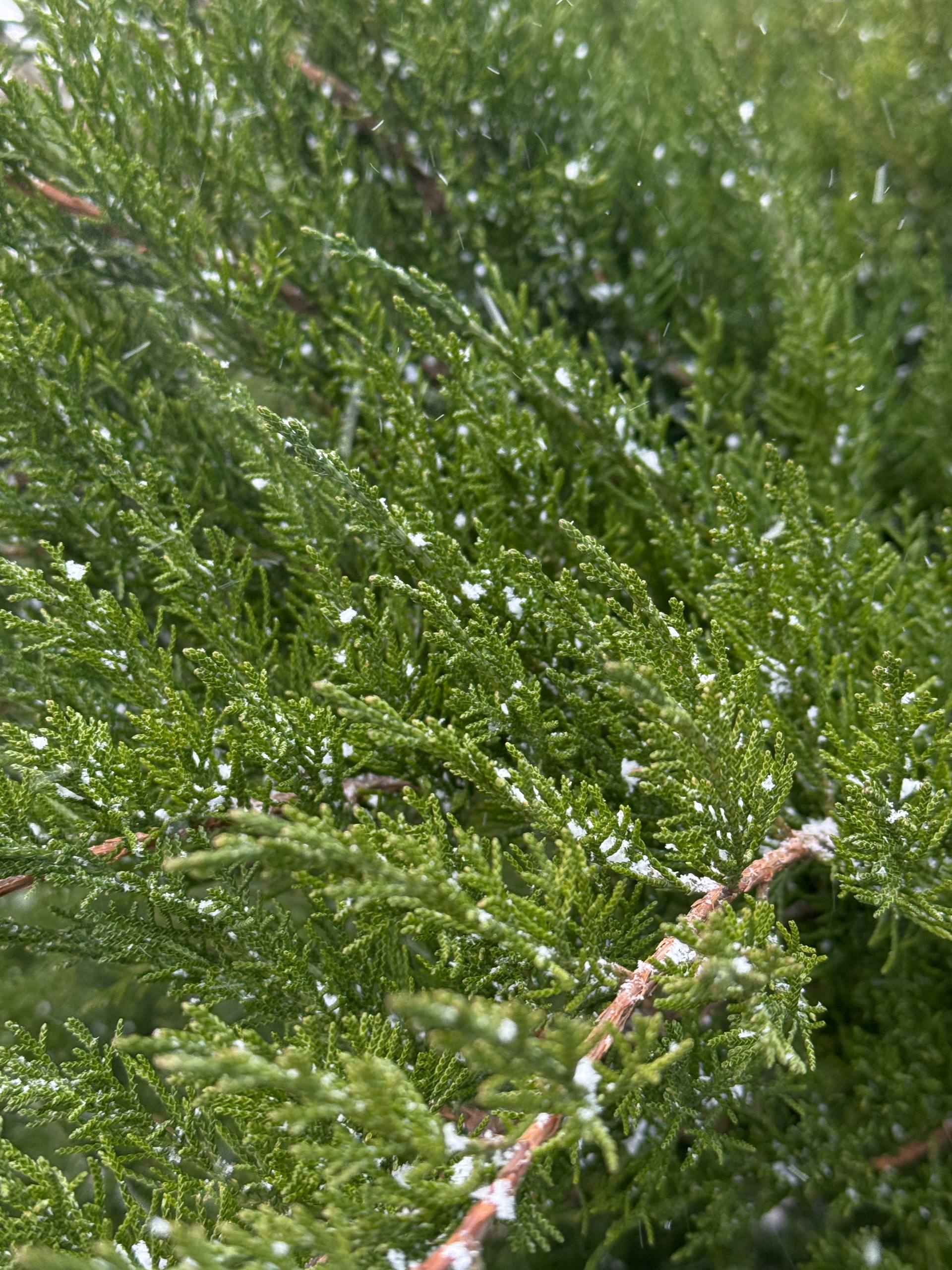 С добрым утром, жители Марковского муниципального округа !