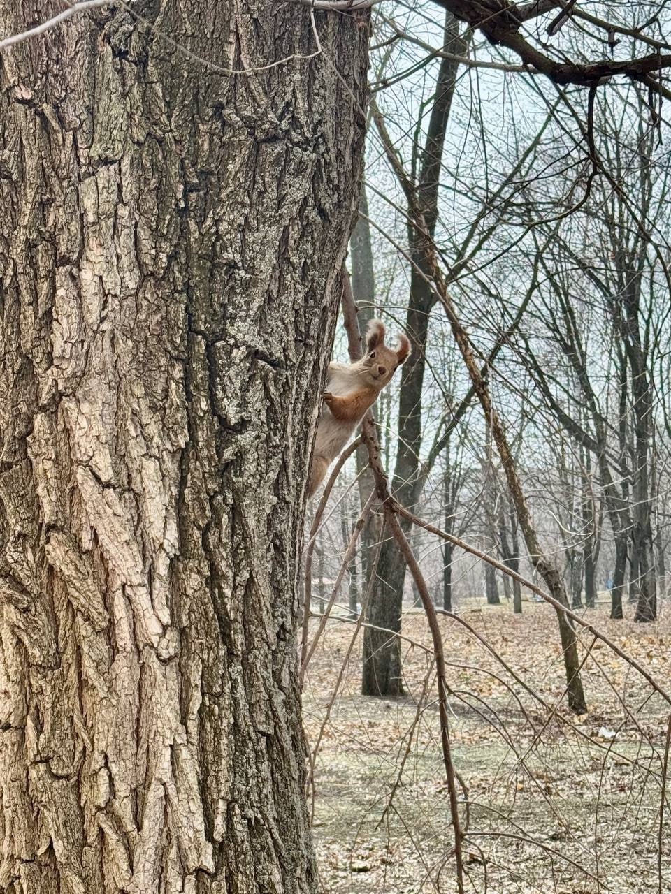 Напоминаем: до 17 февраля — всего 3 дня! Напоминаем: до 17 февраля — всего 3 дня!