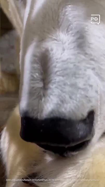 ����������� �� ����� ���������: ���� ������� �� ������������ ������, ����� ��� ��������! ���������� �������������� �������� ��������� �������������� ��������� ������� � ��� ��������