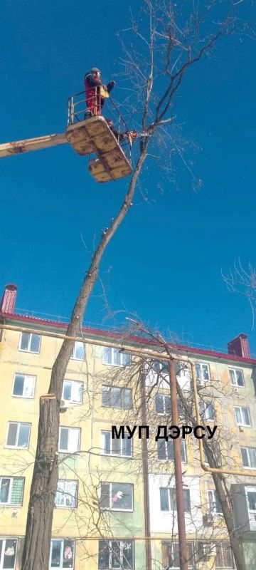 �� ������ �� 9 �� 13 ������� ����������� ��� "�����" ���� ��������� ��������� ������: