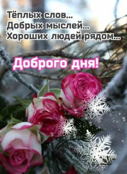 ������� ����������� - 16 �������