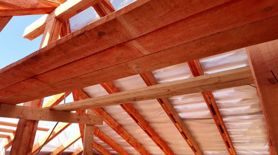 ����� ������ ��� 20 ����� ��������: ������� ���������� ����������� ������ � ����������������