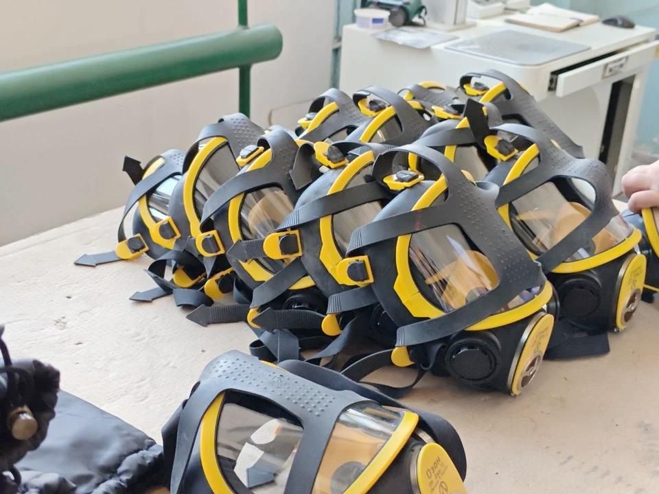 ��� ������ ������: �� ��������� ������ �������� ���� ����������� ��������