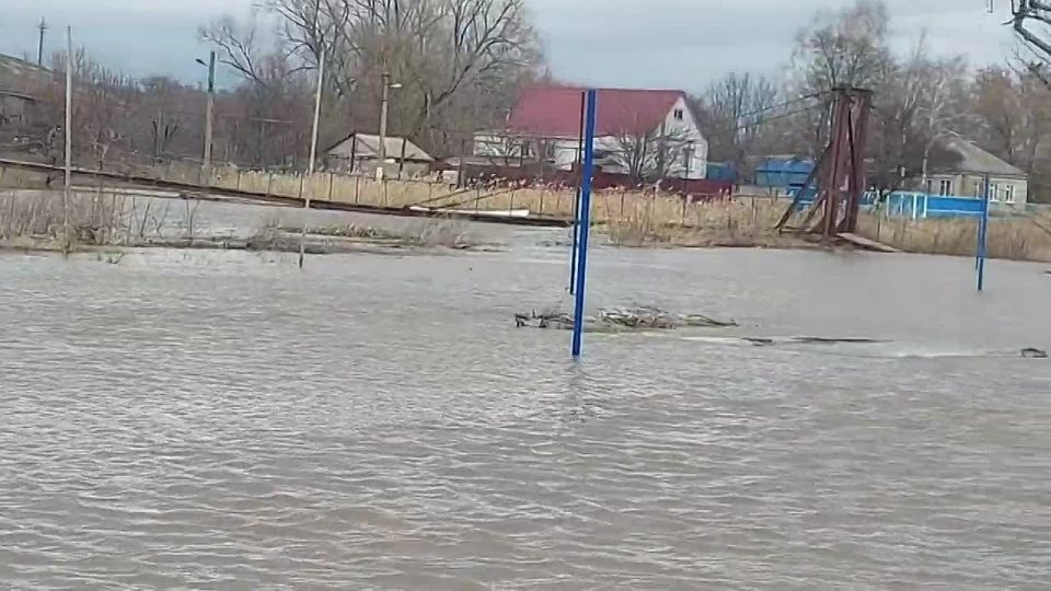 � ���������� ���� ������ ����� �� �������