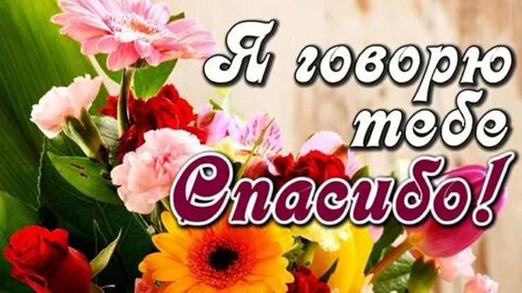 �������! ����� ������ �������