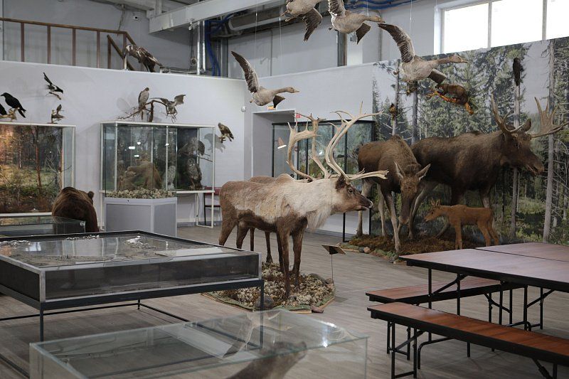 ���������� ��� ����������� �� ���������������� ��������������� �� ������������ ������� ���������������� �����, ����������, ��������, ������������, ������������� ��������� ��� ��������� ���������� �� ���������� ���������...