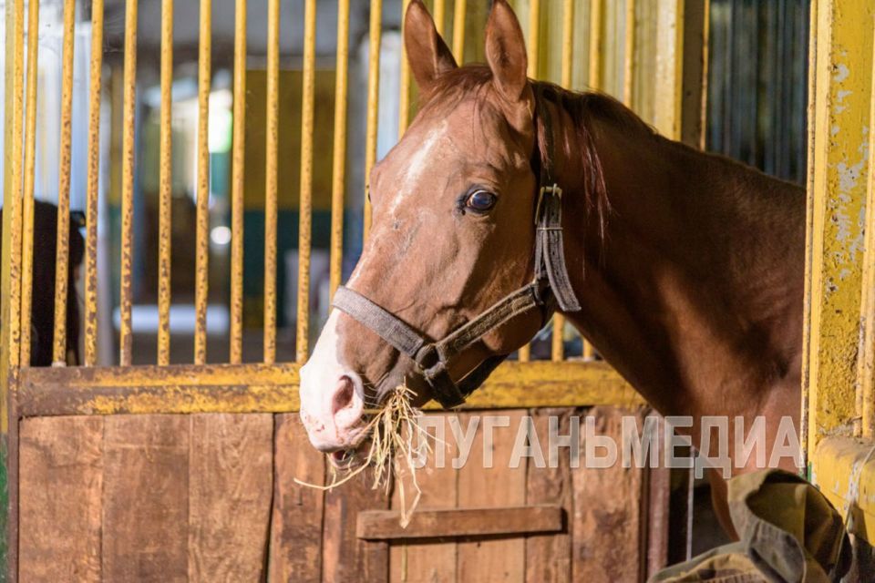 2026 ��� �� ���������� ��������� ������ ��� ������ ������� �������� ������