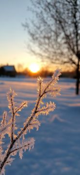 ������ ����!. � ��� � ������� ������ �� �����, 18 ������� �����: 3� (��������� ��� 10�), ����� ��������� 6 �/�, ����: 1� (��������� ��� 8�), ����� ��������� 7 �/�, �������: +1� (��������� ��� 7�), ����� ��������� 8 �/�...