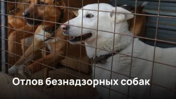 Уважаемые граждане Антрацитовского округа!